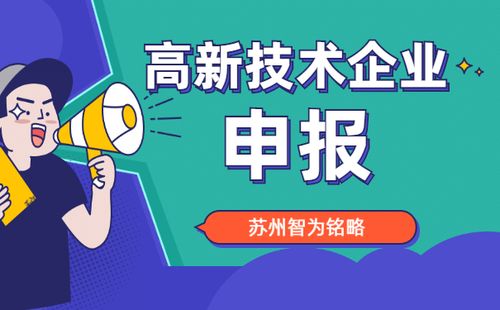 **重点抽查的高新企业领域